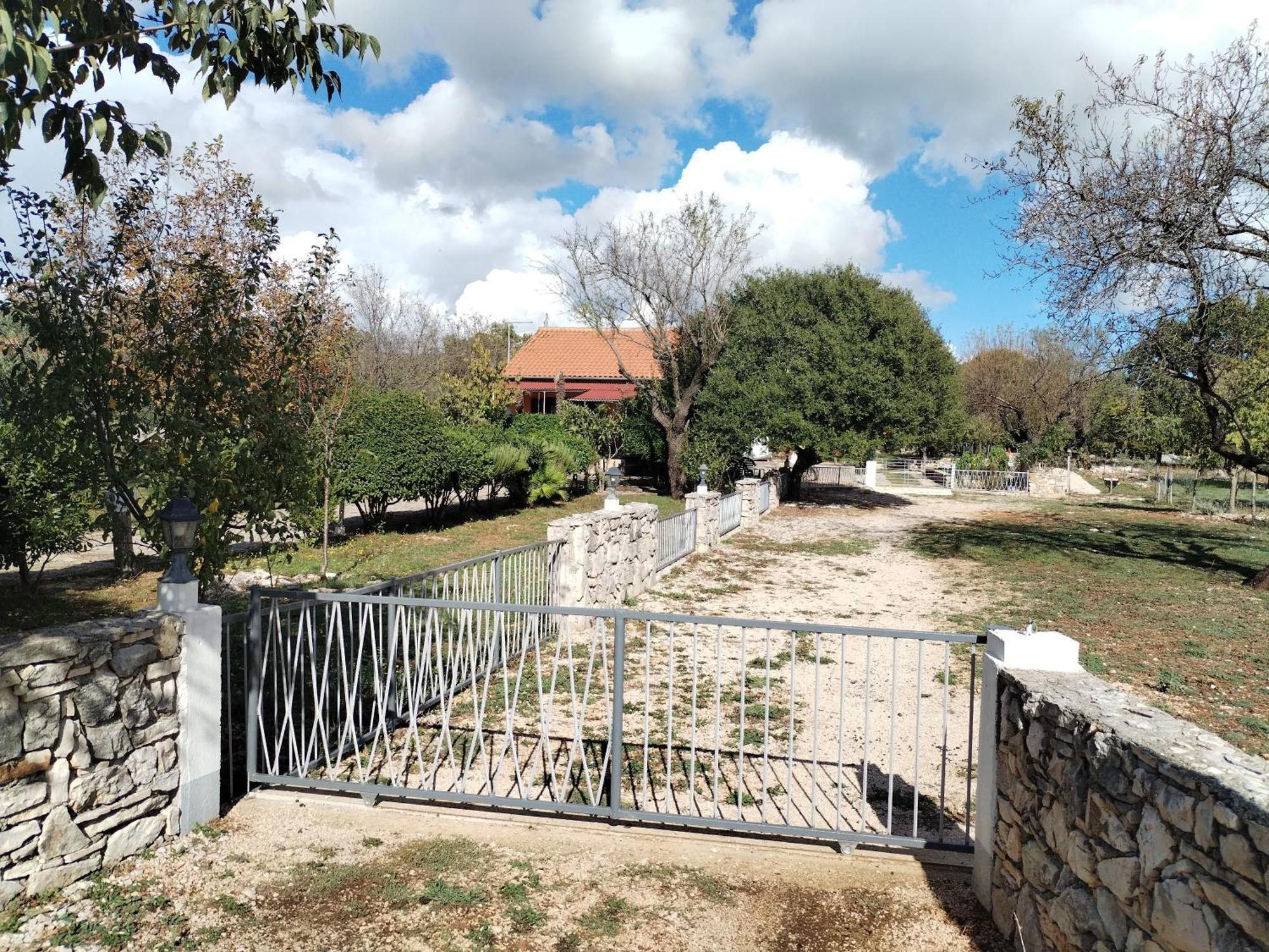Visnja * Benkovac