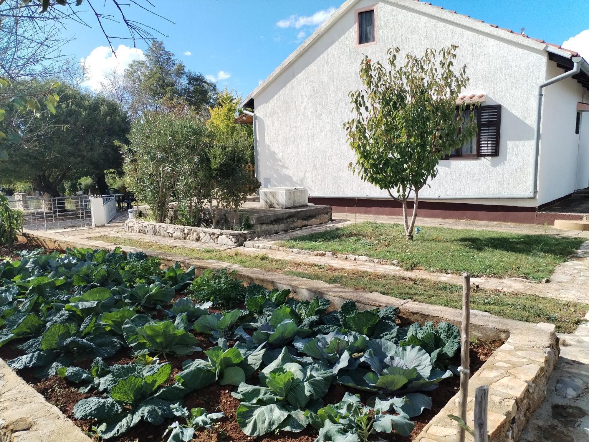 Visnja Holiday home Benkovac